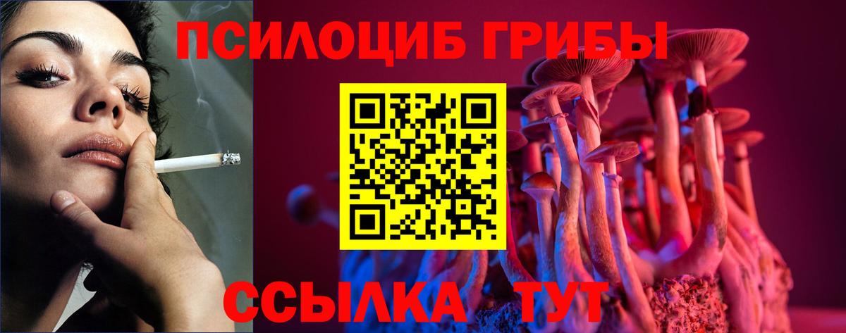 Псилоцибиновые грибы мухоморы  Вход с VPN  Волгоград 